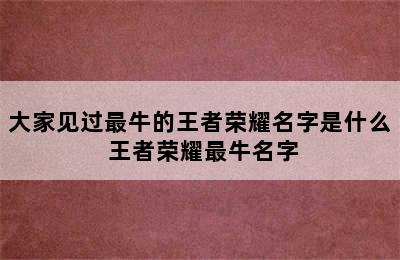 大家见过最牛的王者荣耀名字是什么 王者荣耀最牛名字